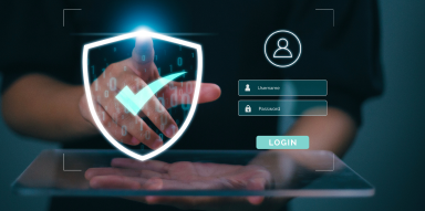 Software Protection